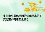 支付寶小荷包里面的錢(qián)哪里來(lái)的（支付寶小荷包怎么關(guān)）