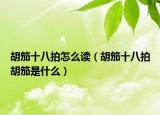 胡笳十八拍怎么讀（胡笳十八拍胡笳是什么）