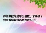 蜂窩數(shù)據(jù)網(wǎng)絡(luò)怎么設(shè)置小米手機(jī)（蜂窩數(shù)據(jù)網(wǎng)絡(luò)怎么設(shè)置APN）