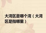 大灣區(qū)是哪個灣（大灣區(qū)是指哪里）