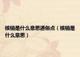 核銷是什么意思通俗點(diǎn)（核銷是什么意思）