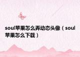 soul蘋果怎么弄動態(tài)頭像（soul蘋果怎么下載）
