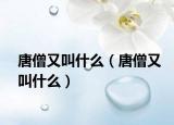 唐僧又叫什么（唐僧又叫什么）