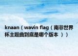 knaan（wavin flag（南非世界杯主題曲到底是哪個(gè)版本 ））