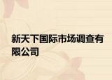 新天下國際市場調(diào)查有限公司