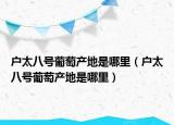 戶太八號葡萄產(chǎn)地是哪里（戶太八號葡萄產(chǎn)地是哪里）