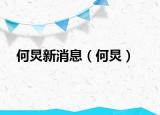 何炅新消息（何炅）