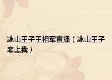 冰山王子王相軍直播（冰山王子戀上我）