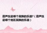 葫蘆絲是哪個民族的樂器?（葫蘆絲是哪個地區(qū)民族的樂器）