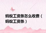 螞蟻工資條怎么收費(fèi)（螞蟻工資條）