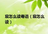 宸怎么讀粵語(yǔ)（宸怎么讀）