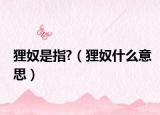 貍奴是指?（貍奴什么意思）