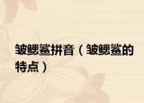皺鰓鯊拼音（皺鰓鯊的特點(diǎn)）