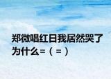 鄭微唱紅日我居然哭了為什么=（=）