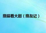 擼貓看大?。〝]友記）