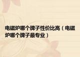 電磁爐哪個(gè)牌子性?xún)r(jià)比高（電磁爐哪個(gè)牌子最專(zhuān)業(yè)）