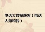 電話大數(shù)據(jù)獲客（電話大海和我）