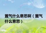 置氣什么意思?。ㄖ脷馐裁匆馑迹? /></span></a>
                        <h2><a href=