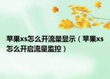 蘋(píng)果xs怎么開(kāi)流量顯示（蘋(píng)果xs怎么開(kāi)啟流量監(jiān)控）
