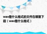 wav是什么格式的文件在哪里下載（wav是什么格式）
