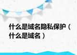 什么是域名隱私保護(hù)（什么是域名）
