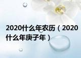 2020什么年農(nóng)歷（2020什么年庚子年）