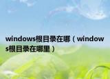 windows根目錄在哪（windows根目錄在哪里）