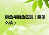 鳙魚與鰱魚區(qū)別（鳙怎么讀）