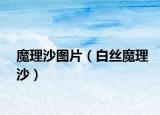 魔理沙圖片（白絲魔理沙）