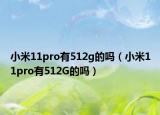 小米11pro有512g的嗎（小米11pro有512G的嗎）