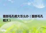 面部毛孔粗大怎么辦（面部毛孔粗大）