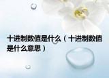 十進制數(shù)值是什么（十進制數(shù)值是什么意思）