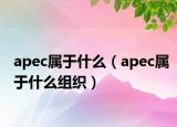 apec屬于什么（apec屬于什么組織）