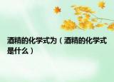 酒精的化學(xué)式為（酒精的化學(xué)式是什么）