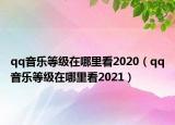 qq音樂等級在哪里看2020（qq音樂等級在哪里看2021）