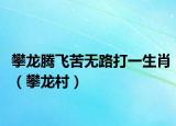攀龍騰飛苦無(wú)路打一生肖（攀龍村）