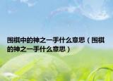 圍棋中的神之一手什么意思（圍棋的神之一手什么意思）