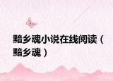 黯鄉(xiāng)魂小說在線閱讀（黯鄉(xiāng)魂）