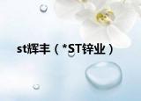 st輝豐（*ST鋅業(yè)）