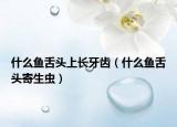 什么魚舌頭上長牙齒（什么魚舌頭寄生蟲）