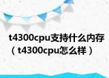 t4300cpu支持什么內(nèi)存（t4300cpu怎么樣）