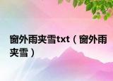 窗外雨夾雪txt（窗外雨夾雪）
