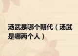 湯武是哪個(gè)朝代（湯武是哪兩個(gè)人）