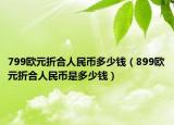 799歐元折合人民幣多少錢(qián)（899歐元折合人民幣是多少錢(qián)）