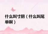 什么叫寸陰（什么叫尾單啊）