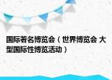國際著名博覽會(huì)（世界博覽會(huì) 大型國際性博覽活動(dòng)）