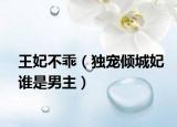 王妃不乖（獨寵傾城妃誰是男主）