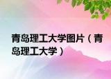 青島理工大學(xué)圖片（青島理工大學(xué)）