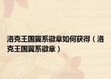 洛克王國翼系徽章如何獲得（洛克王國翼系徽章）