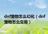 dnf寵物怎么幻化（dnf寵物怎么交易）